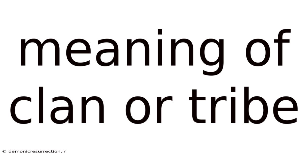 Meaning Of Clan Or Tribe
