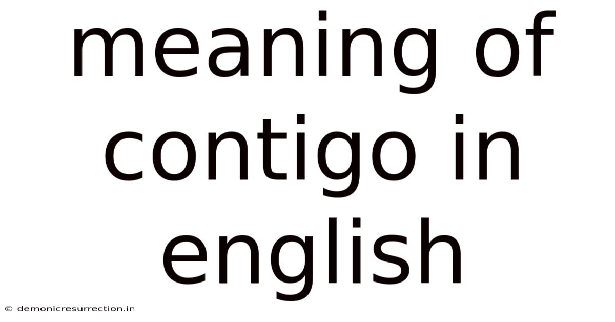 Meaning Of Contigo In English
