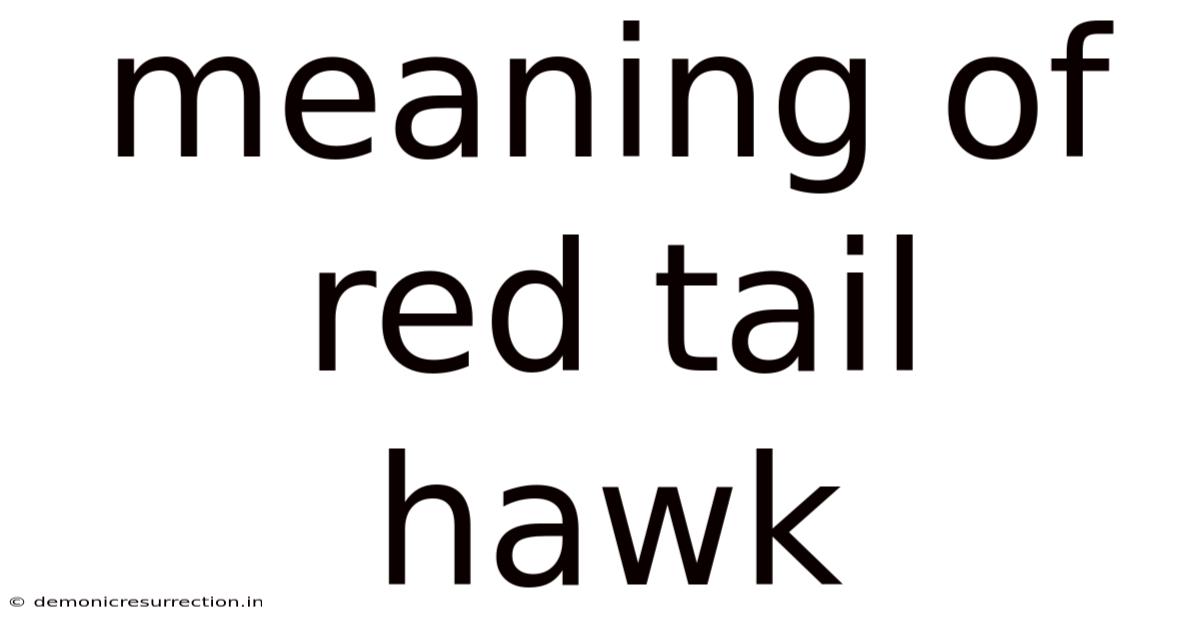 Meaning Of Red Tail Hawk