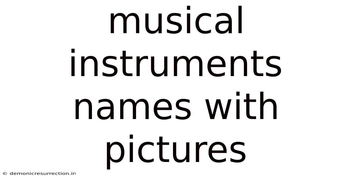 Musical Instruments Names With Pictures