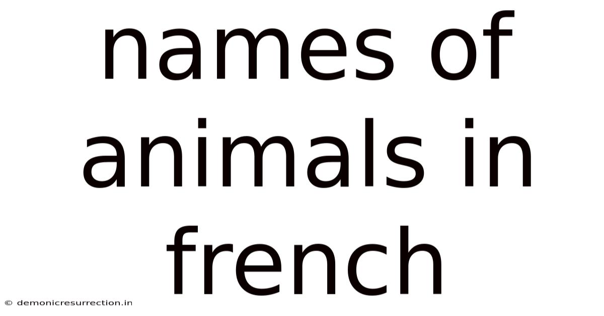 Names Of Animals In French