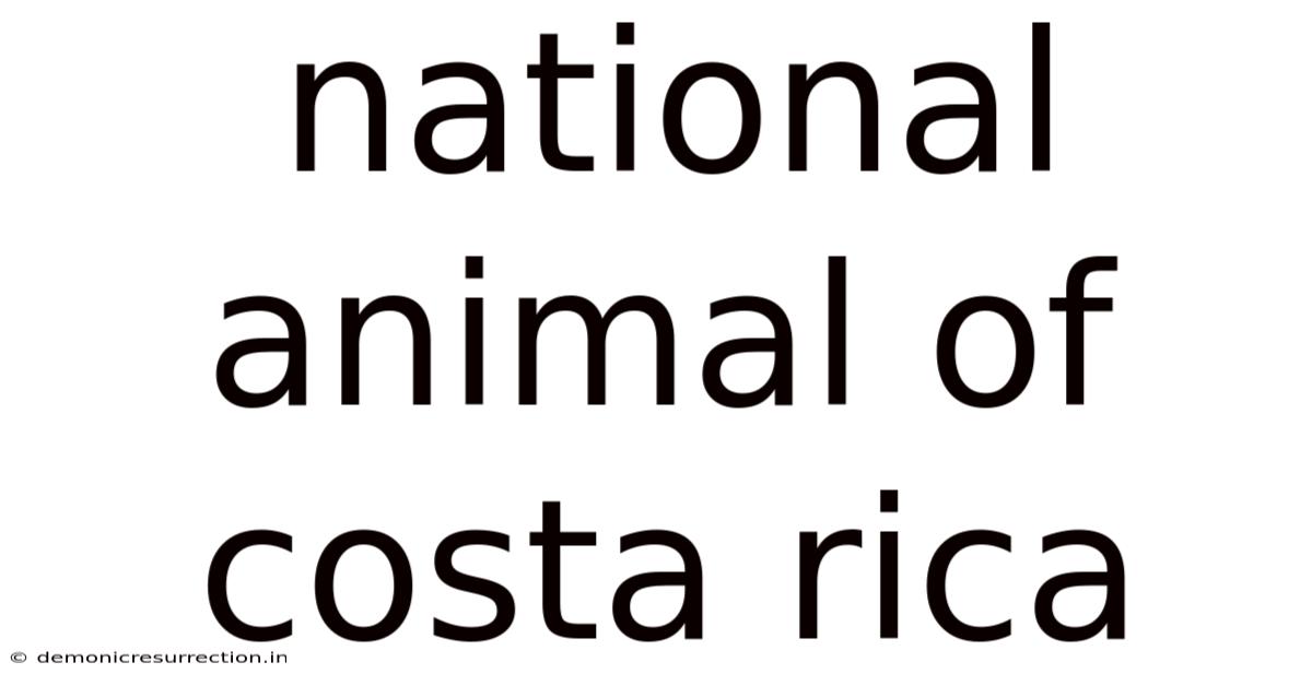 National Animal Of Costa Rica