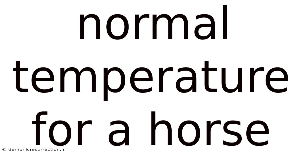 Normal Temperature For A Horse