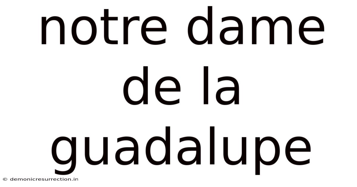 Notre Dame De La Guadalupe