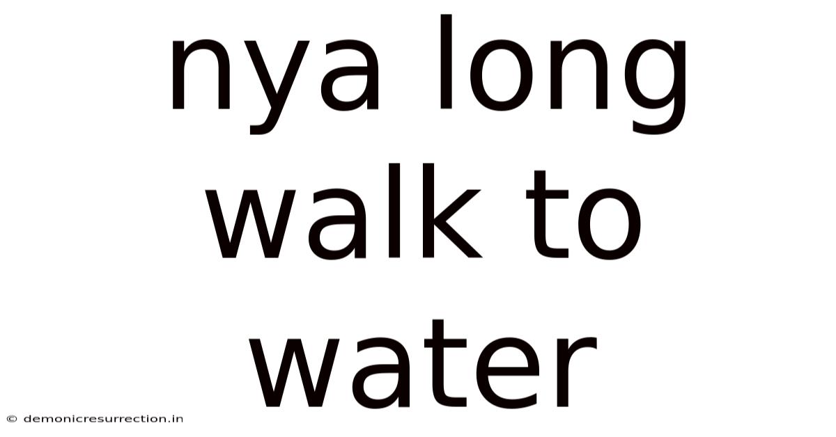 Nya Long Walk To Water