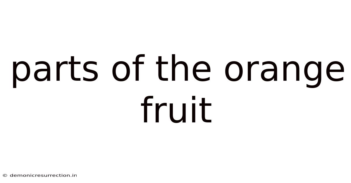 Parts Of The Orange Fruit
