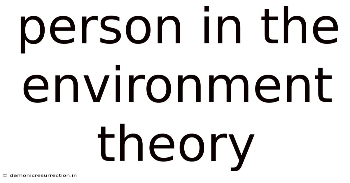 Person In The Environment Theory