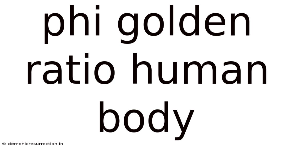 Phi Golden Ratio Human Body
