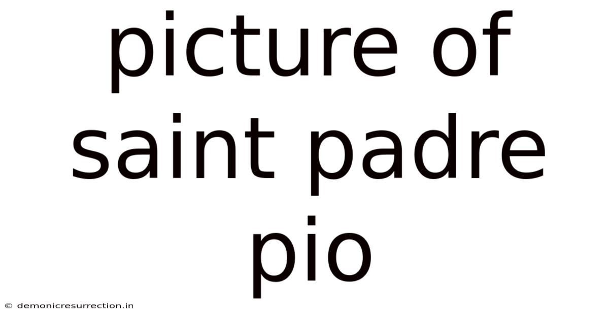 Picture Of Saint Padre Pio