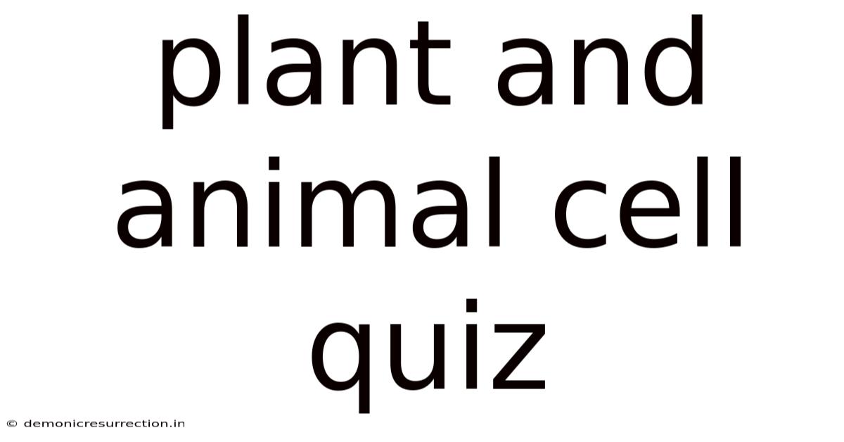 Plant And Animal Cell Quiz