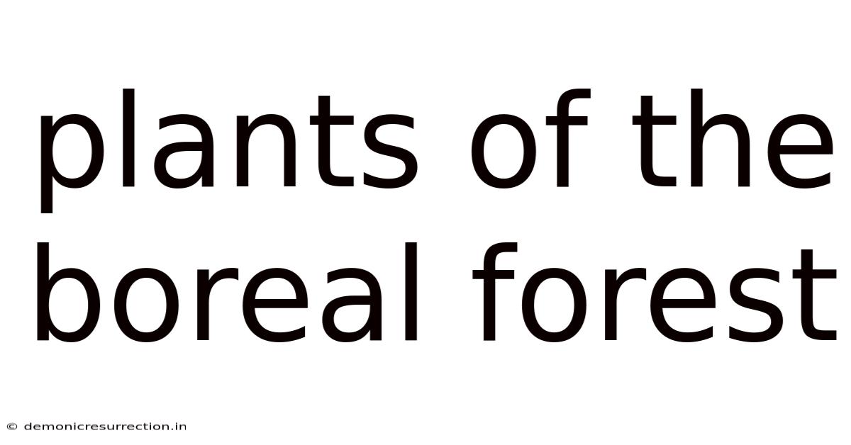 Plants Of The Boreal Forest