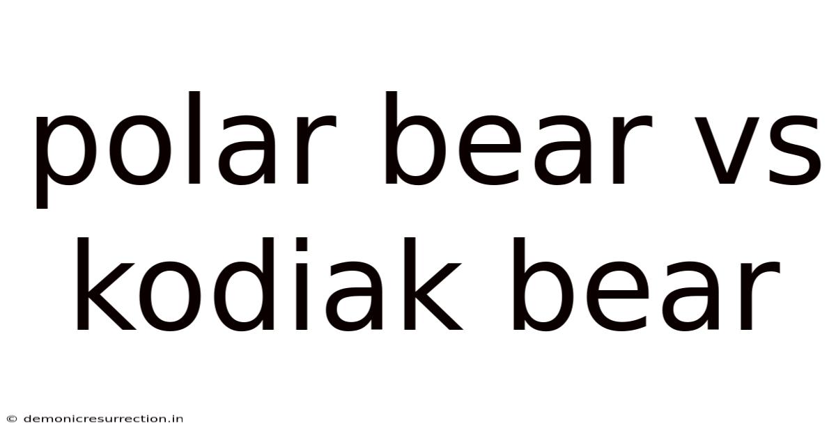 Polar Bear Vs Kodiak Bear