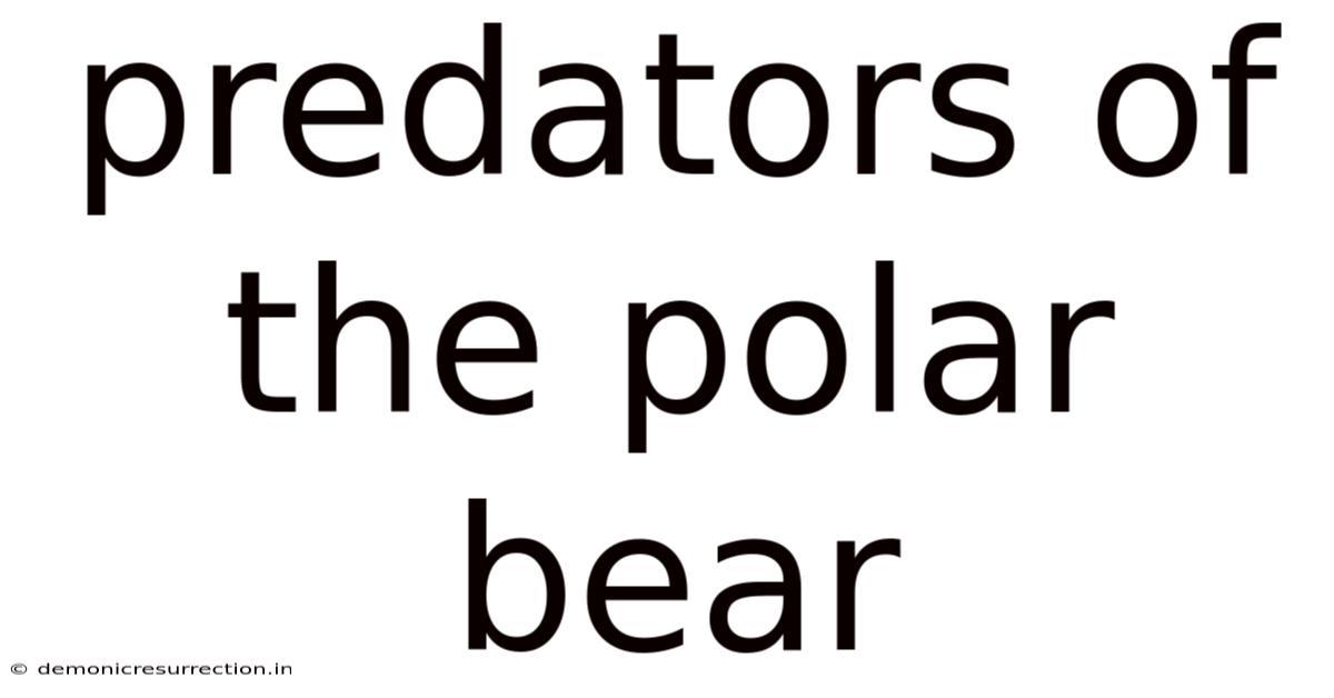 Predators Of The Polar Bear