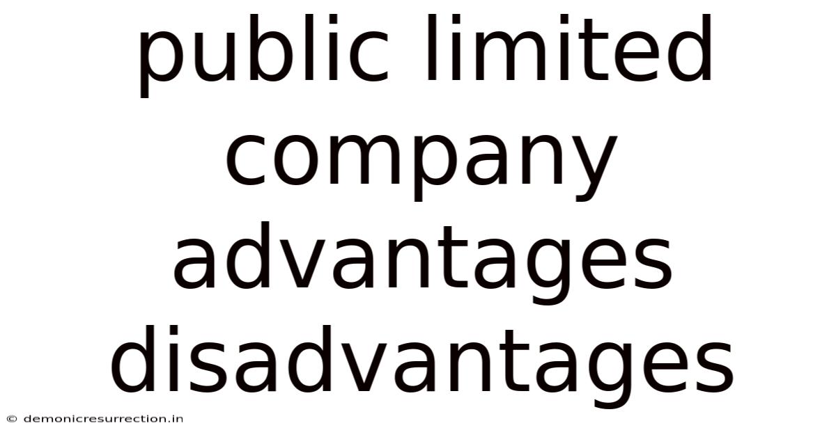 Public Limited Company Advantages Disadvantages