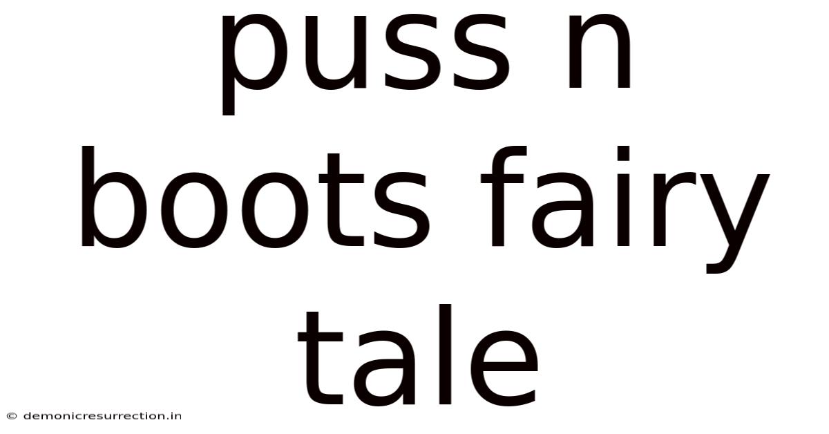 Puss N Boots Fairy Tale