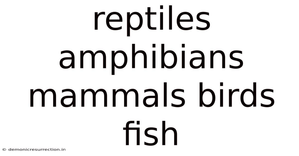 Reptiles Amphibians Mammals Birds Fish