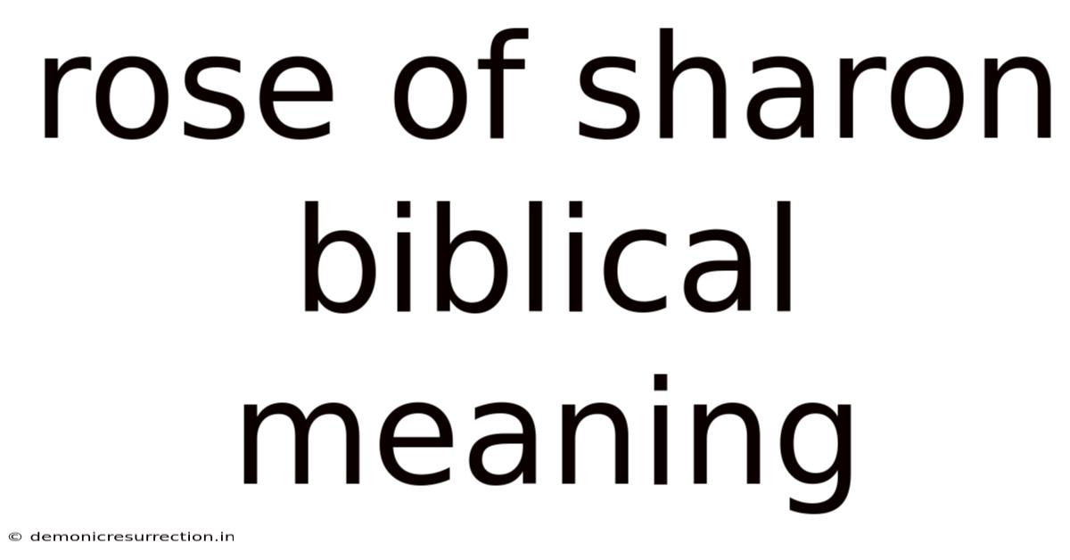 Rose Of Sharon Biblical Meaning