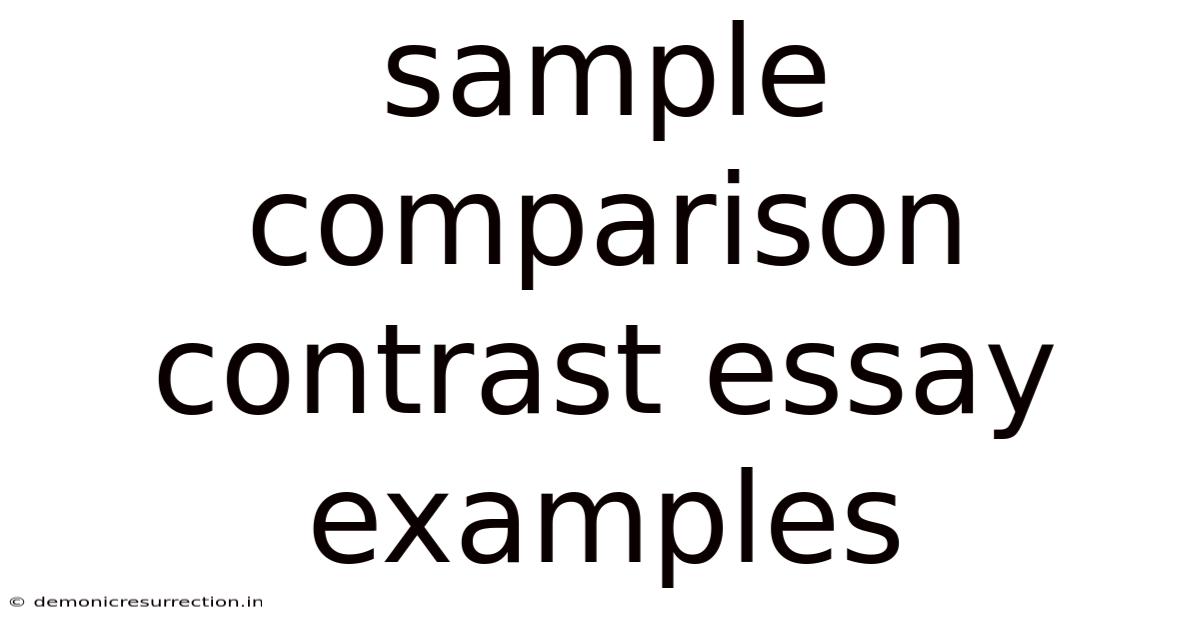 Sample Comparison Contrast Essay Examples