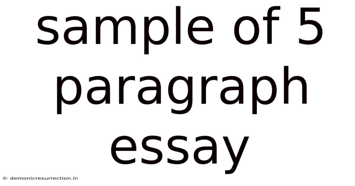 Sample Of 5 Paragraph Essay