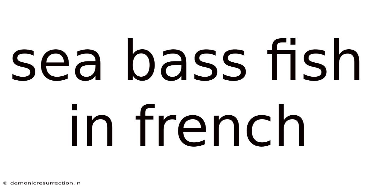 Sea Bass Fish In French