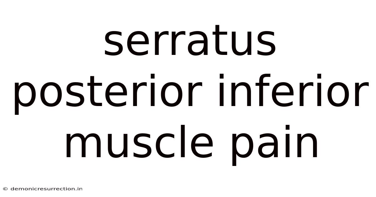Serratus Posterior Inferior Muscle Pain