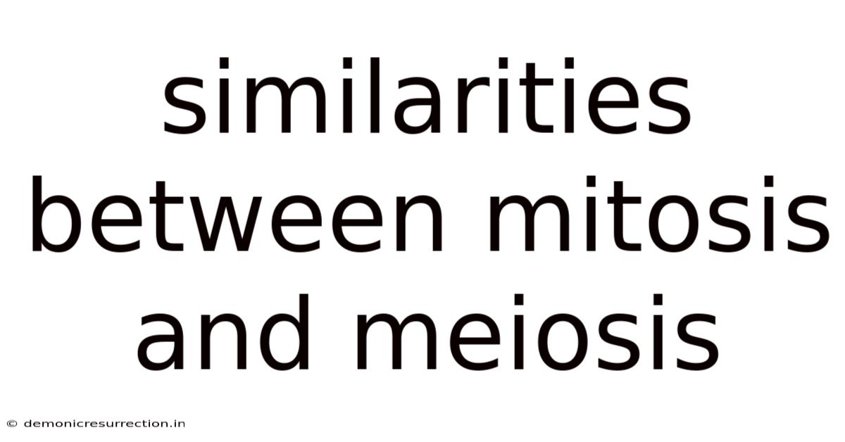 Similarities Between Mitosis And Meiosis