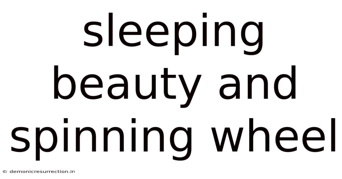 Sleeping Beauty And Spinning Wheel