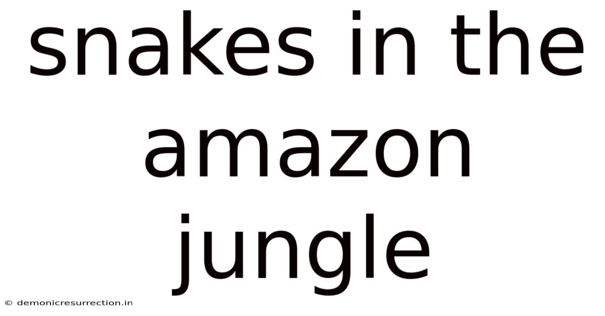 Snakes In The Amazon Jungle
