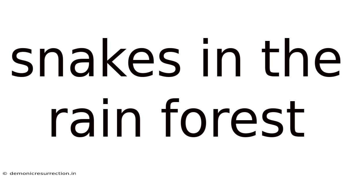 Snakes In The Rain Forest