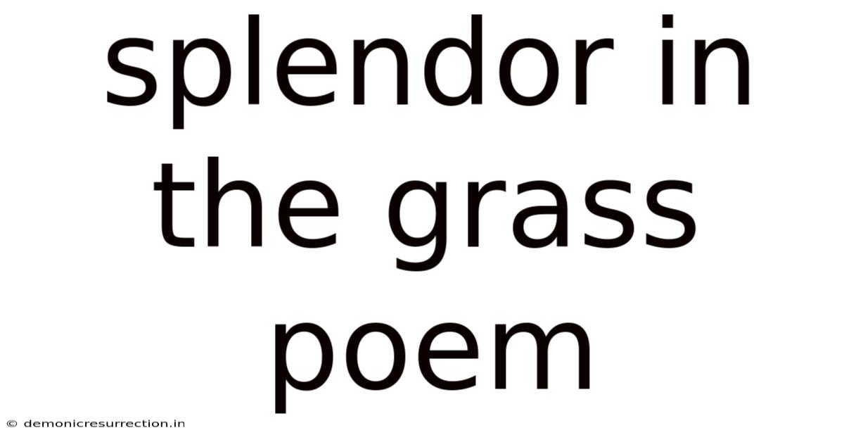 Splendor In The Grass Poem