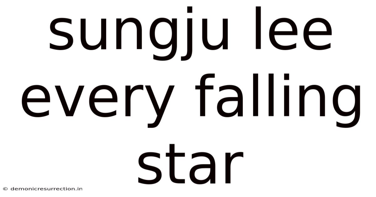 Sungju Lee Every Falling Star