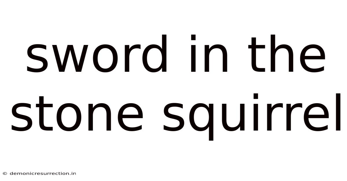 Sword In The Stone Squirrel