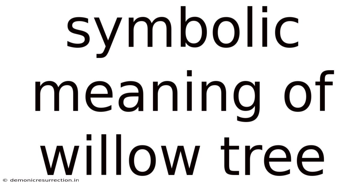 Symbolic Meaning Of Willow Tree