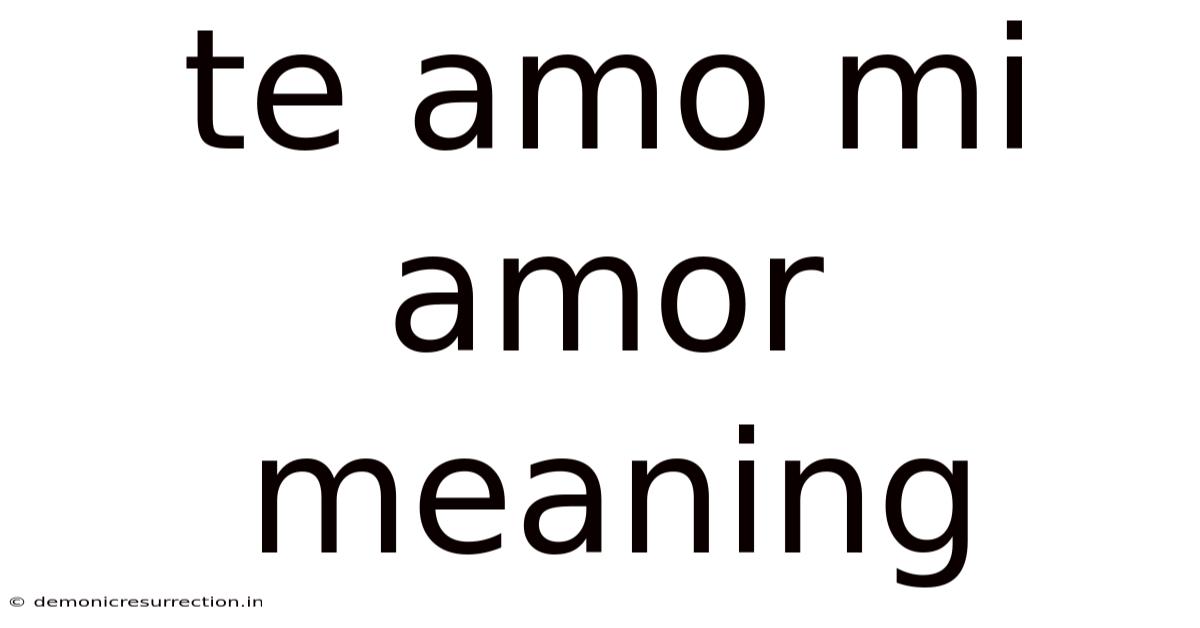 Te Amo Mi Amor Meaning