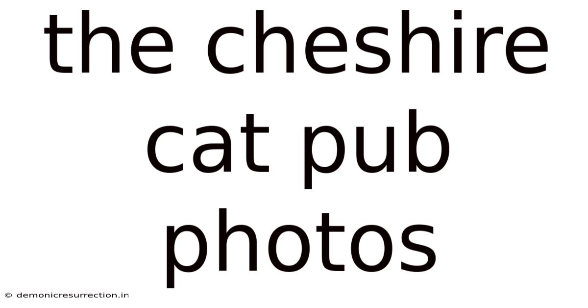 The Cheshire Cat Pub Photos