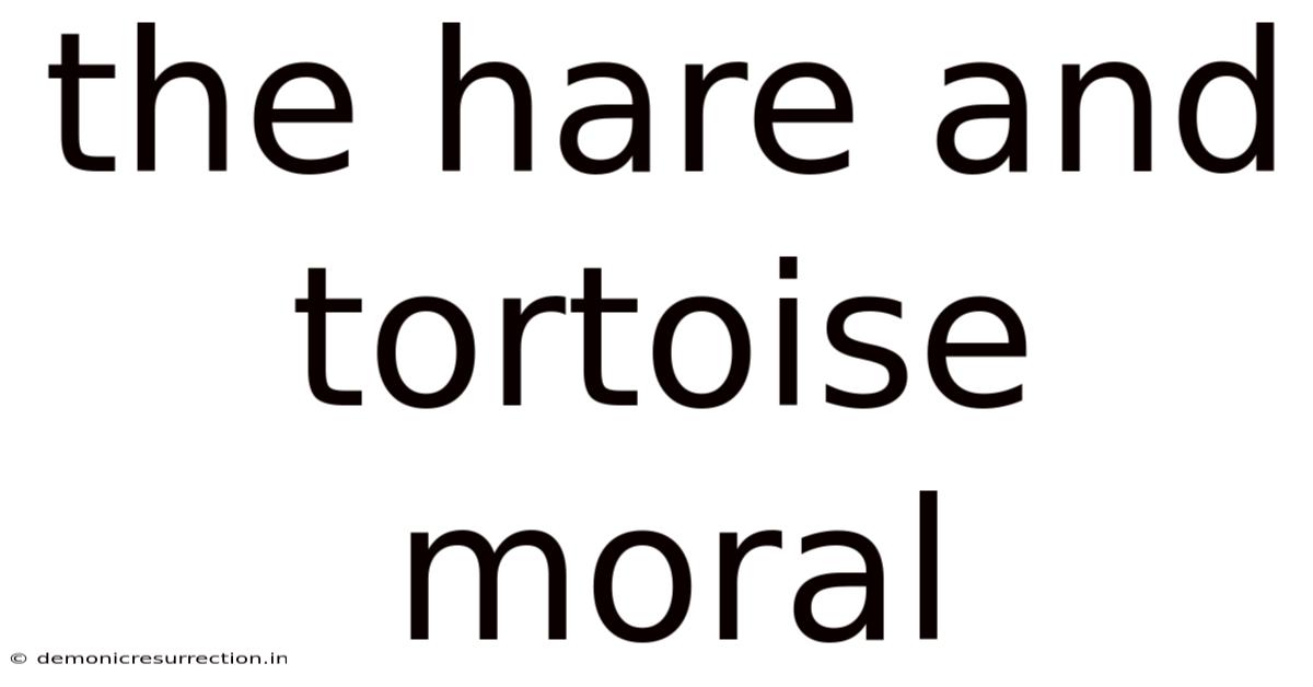 The Hare And Tortoise Moral