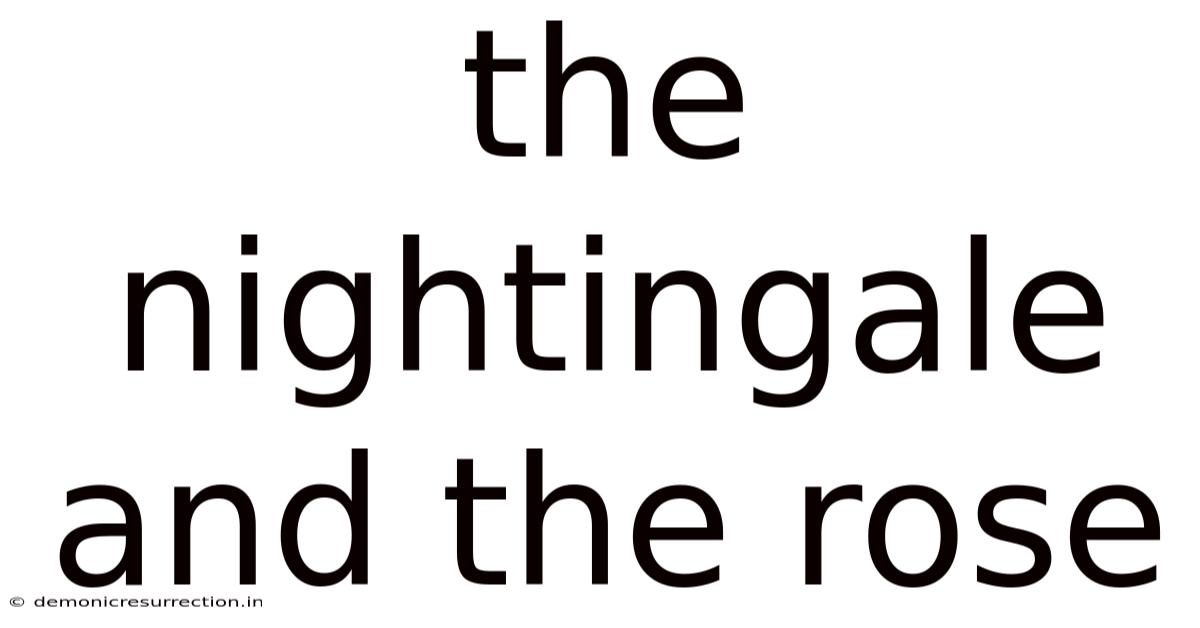 The Nightingale And The Rose