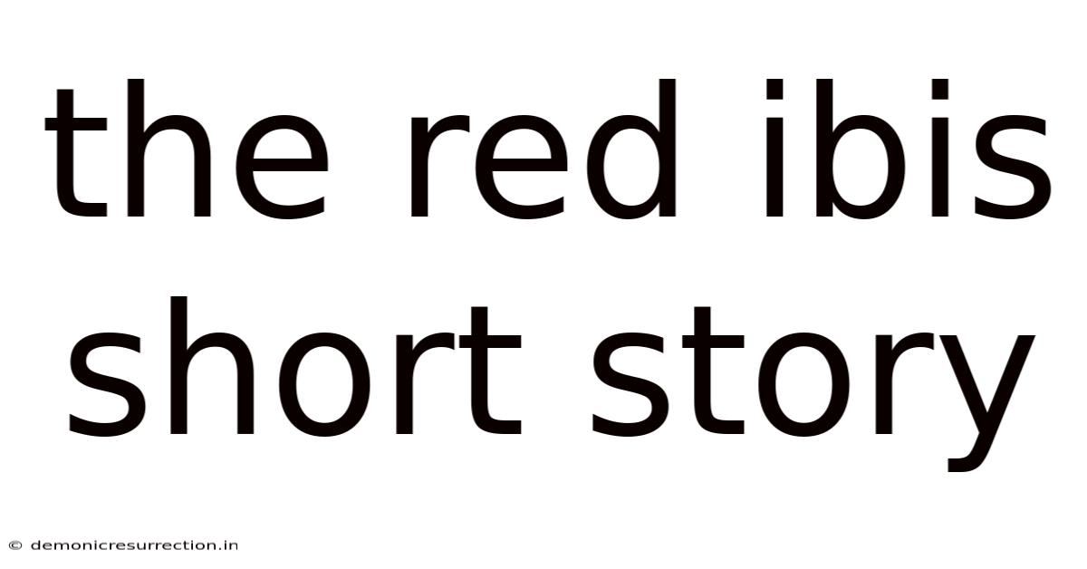 The Red Ibis Short Story
