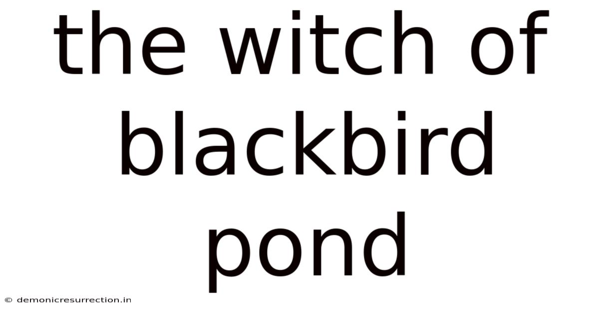 The Witch Of Blackbird Pond