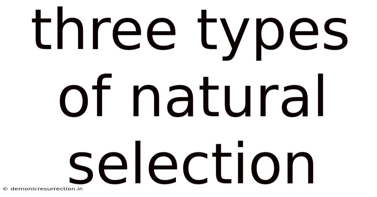 Three Types Of Natural Selection