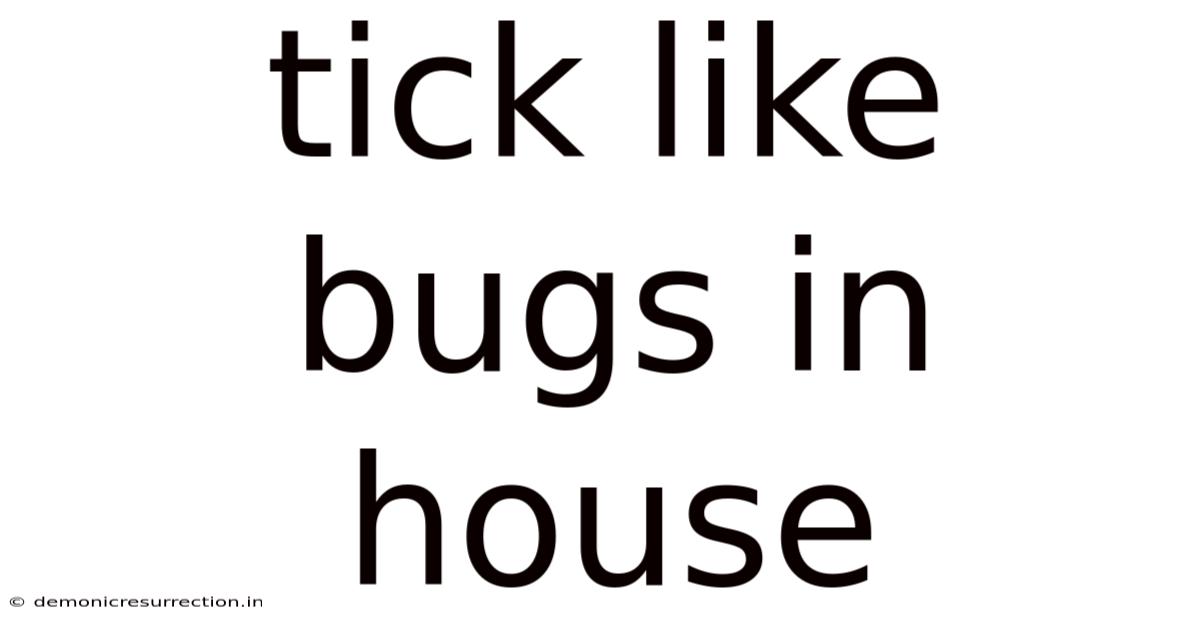 Tick Like Bugs In House