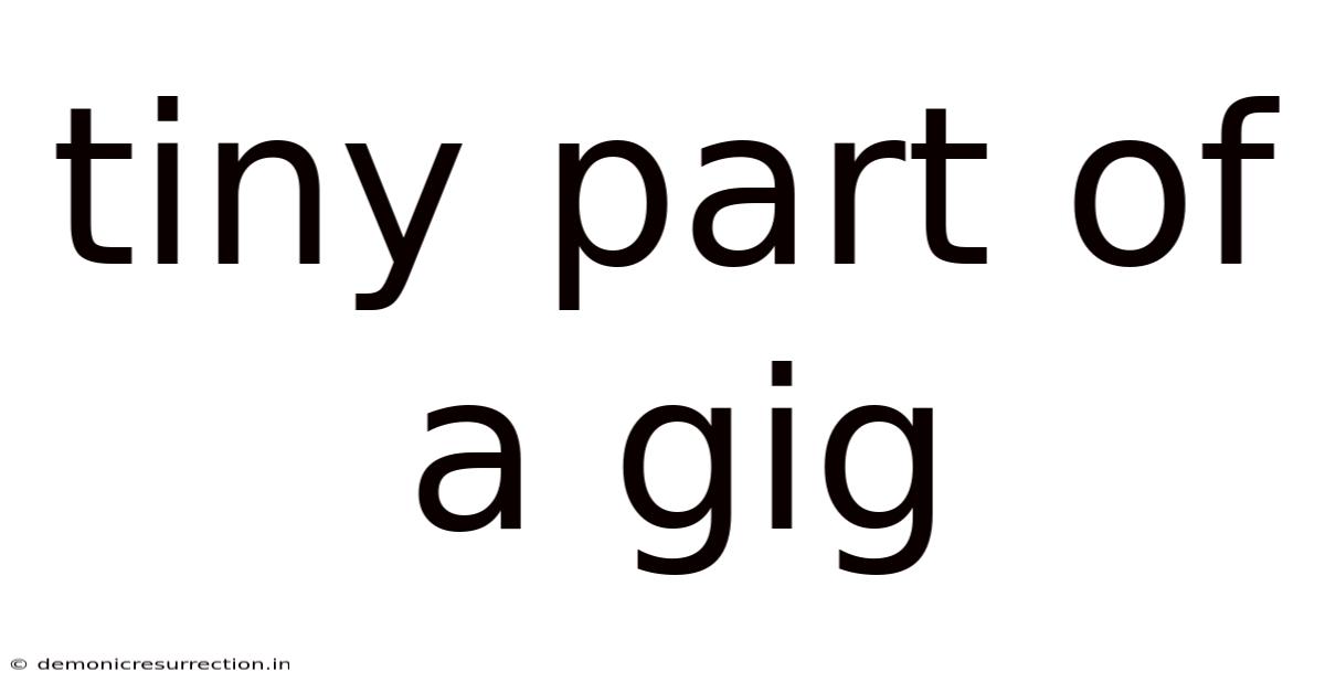 Tiny Part Of A Gig