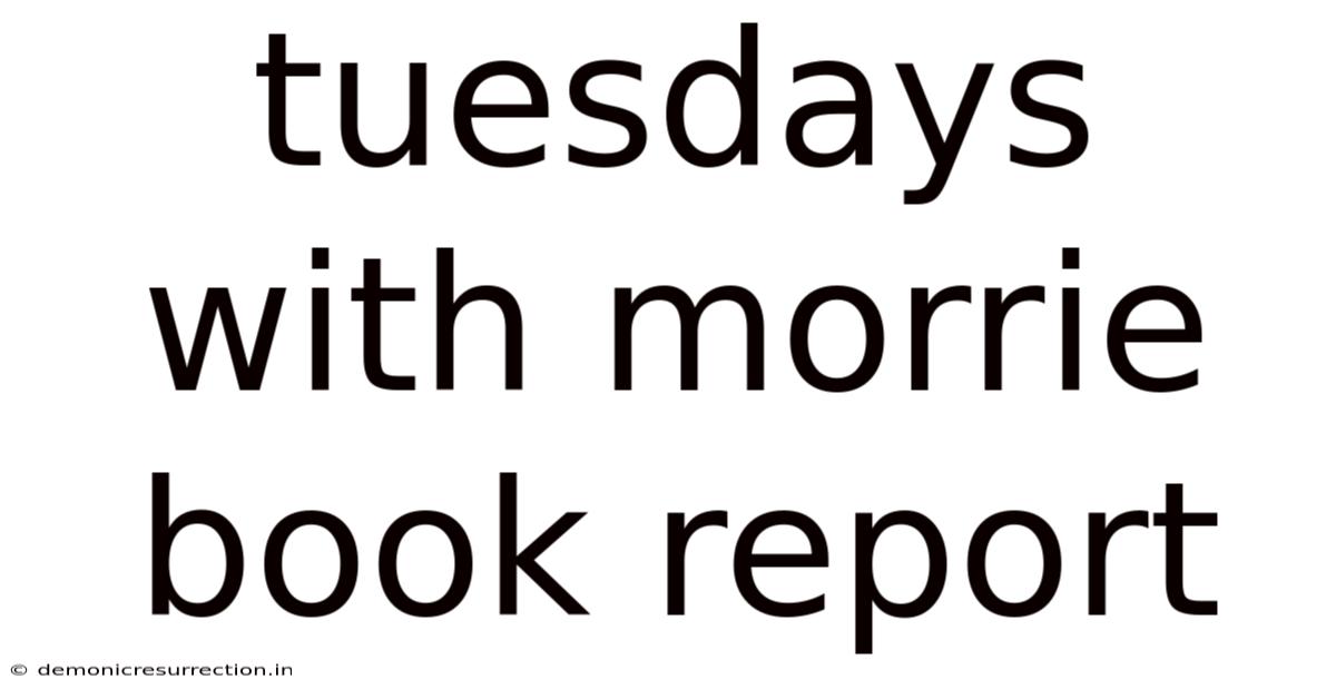 Tuesdays With Morrie Book Report