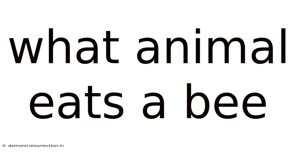 What Animal Eats A Bee