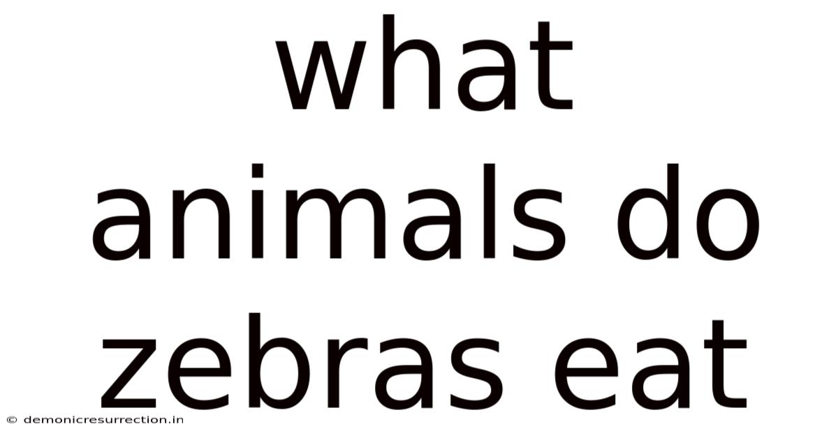 What Animals Do Zebras Eat