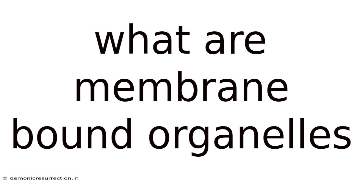 What Are Membrane Bound Organelles
