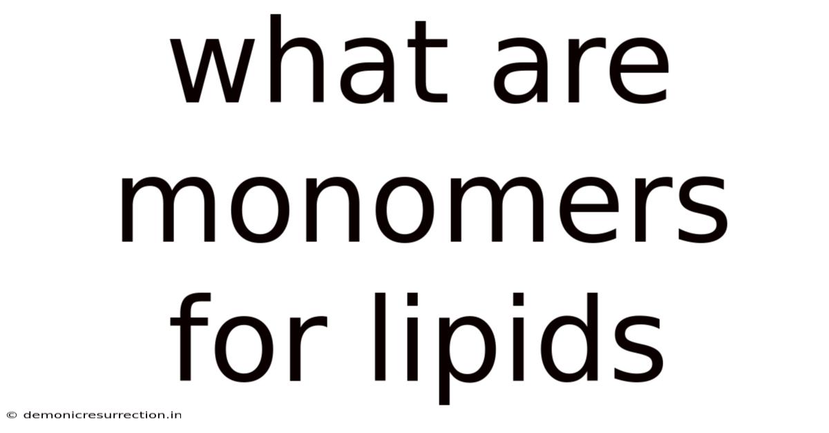 What Are Monomers For Lipids