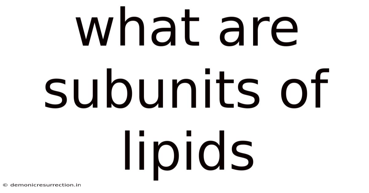 What Are Subunits Of Lipids