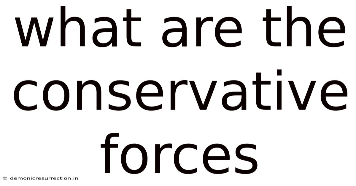 What Are The Conservative Forces