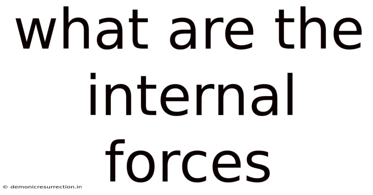 What Are The Internal Forces